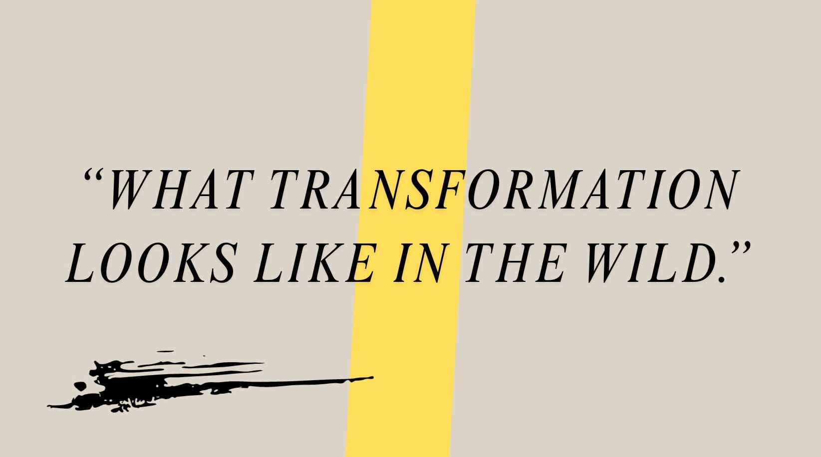 What transformation looks like in the wild.”